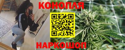 каннабис Кингисепп