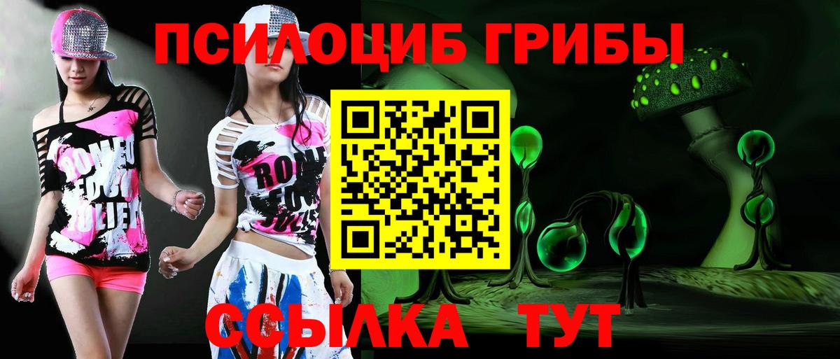 Арзамас  Галлюциногенные грибы MAGIC MUSHROOMS  Вход с VPN  Псилоцибиновые грибы ЛСД 